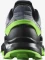 Salomon Supercross 4 flint stone/black/green gecko (Herren) Vorschaubild