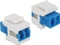 DeLOCK Keystone Modul LC Duplex Buchse via LC Duplex Buchse, Singlemode, weiß/blau Vorschaubild