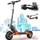 Joyor S5-Z Elektro-Roller 25km/h