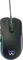 Ewent RGB Gaming Mouse schwarz, USB Vorschaubild