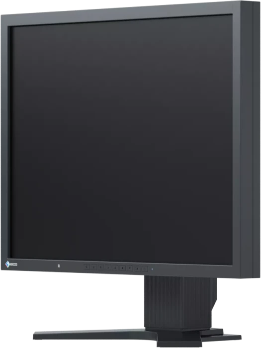 Eizo FlexScan S2133, schwarz, 21.3"