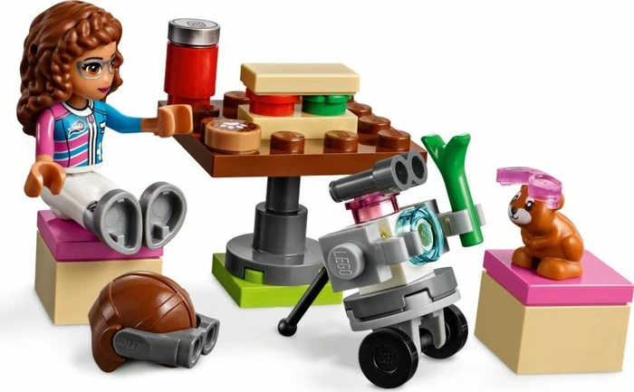 LEGO Friends - Rundflug über Heartlake City