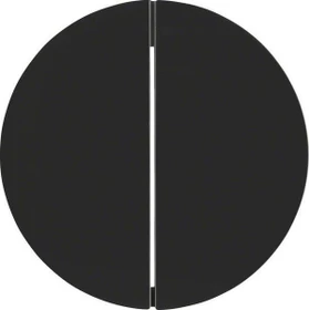 Berker R.1/R.3 Taste 2fach, schwarz