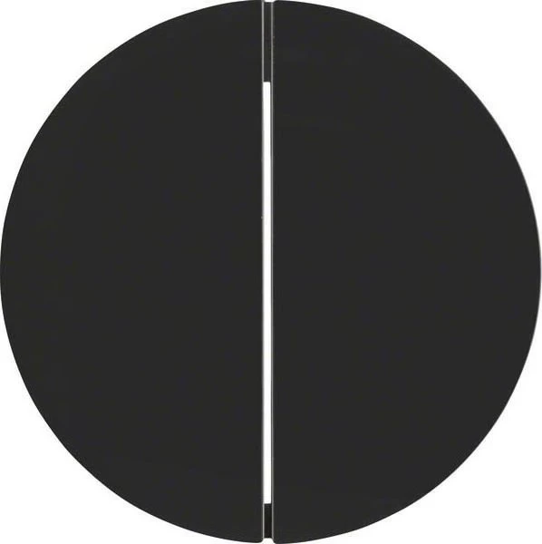 Berker R.1/R.3 Taste 2fach, schwarz