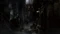 Bloodborne (PS4) Vorschaubild