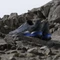 adidas Terrex AX4 GTX shadow navy/wonder steel/semi lucid blue (Herren) Vorschaubild