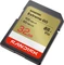 SanDisk Extreme GO R100/W60 32GB, UHS-I, Class 10 Vorschaubild