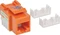 Intellinet Keystone Modul RJ-45 Buchse via Verlegekabel Cat6, orange Vorschaubild