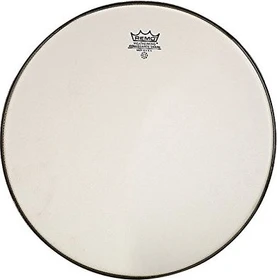 Remo Ambassador Renaissance Snare Side 12"