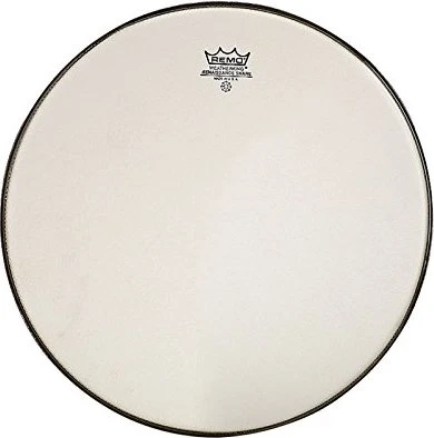 Remo Ambassador Renaissance Snare Side 12"