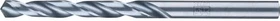 Pferd SPB DIN 1897 HSSG N 6.0 STEEL Spiralbohrer, 6x28mm, 10 Stück