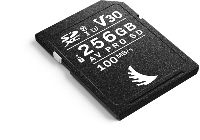 Angelbird AV PRO SD V30 R100/W52 256GB, UHS-I U3, Class 10