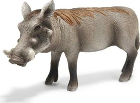 Schleich Wild Life - Warzenschwein Sau