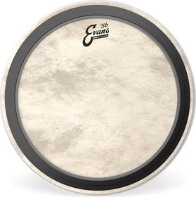Evans EMAD Calftone Bass 18"
