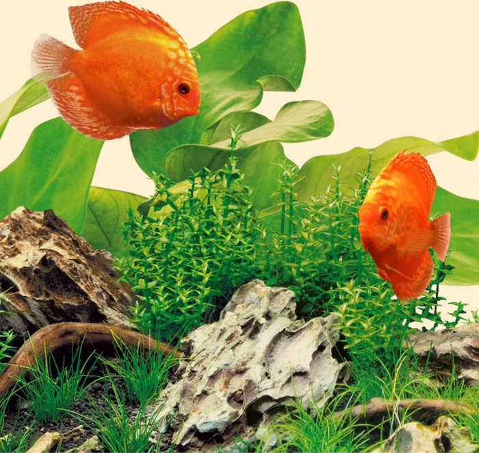 Juwel MultiLux LED Nature, 1.05m, 29W