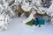 Exped Dura 5R M Isomatte cypress Vorschaubild