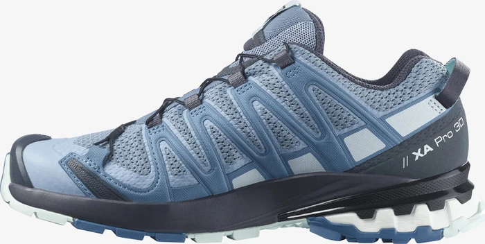 Salomon XA Pro 3D V8 ashley blue/ebony/opal blue (Damen)