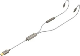 iFi Audio GO cable