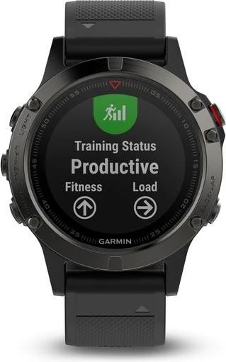 Garmin Fenix 5 grau/schwarz