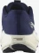Salomon Aero Blaze 3 Grvl astral aura/maritime blue/haute red (Damen) Vorschaubild