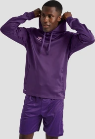 hummel Core XK Poly Sweat Hoodie acai (Herren)