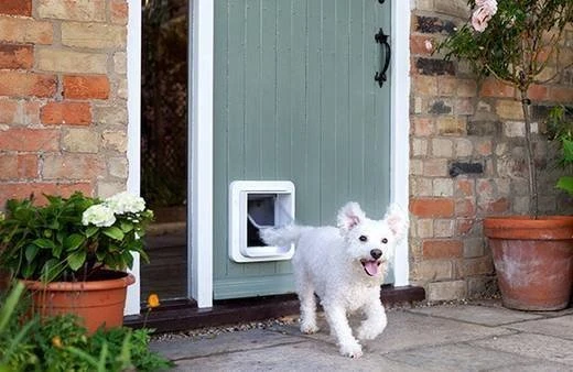 Sure Petcare SureFlap Connect Microchip XL Haustierklappe, weiß