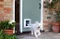Sure Petcare SureFlap Connect Microchip XL Haustierklappe, weiß Vorschaubild