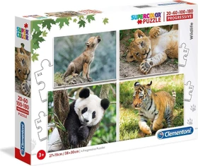 Edukit 4in1 Findet Dorie