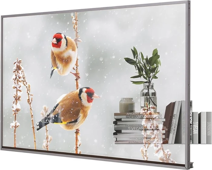 LG OLED 55EW5P, 55"