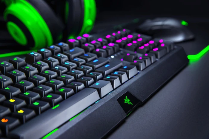 Razer BlackWidow 2019, Razer GREEN, USB, DE