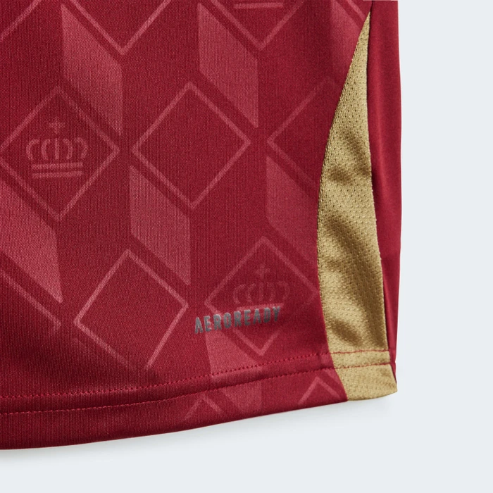 adidas UEFA EURO 2024 Belgien Mini Heimausrüstung (Junior)