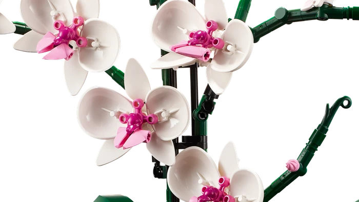 LEGO Botanicals - Orchidee