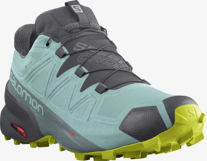 Salomon Speedcross 5 GTX pastel turquoise/ebony/evening primrose (Damen)