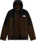 The North Face Mountain Light Triclimate 3-in-1 GTX Jacke (Herren) Vorschaubild