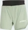 adidas Terrex Techrock Pro Trail Laufhose kurz (Herren) Vorschaubild