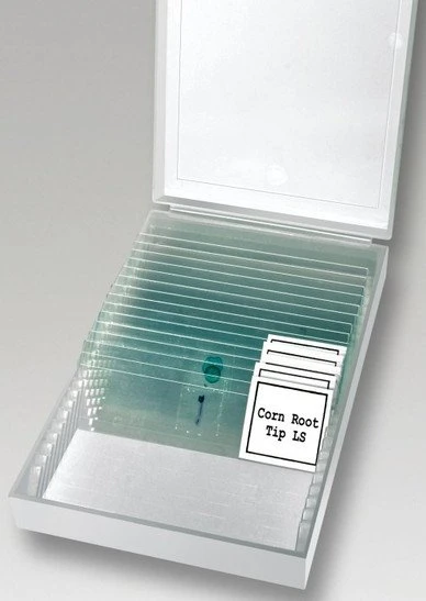Bresser LCD-Mikroskop 8.9cm (3.5")