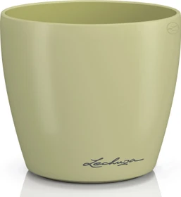 Lechuza Classico Color Deco 10 linde
