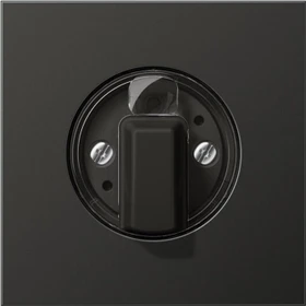 Jung Abdeckung für Drehschalter 1fach, Aluminium lackiert, Serie LS, anthrazit