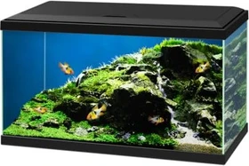 Ciano Aqua 60 Aquarium-Set ohne Unterschrank, weiß, 60l