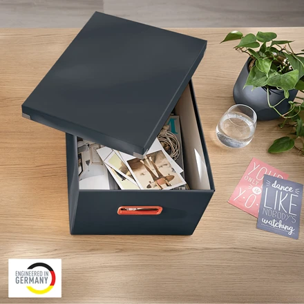 Leitz Click & Store Cosy Aufbewahrungsbox mittel, A4, grau