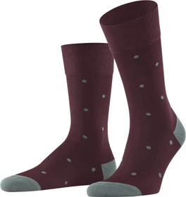 Falke Dot Socken barolo (Herren)