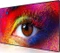 Optoma FHDQ130, 130" Vorschaubild