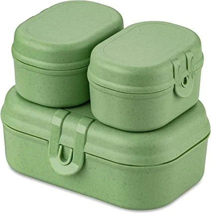 koziol Pascal Ready Mini Lunchbox und Besteck Geschirrset nature leaf green