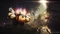 Anthem (Download) (PC) Vorschaubild