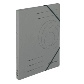 Herlitz Ringbuch 2-Ring Colorspan, 25mm, A4, grau