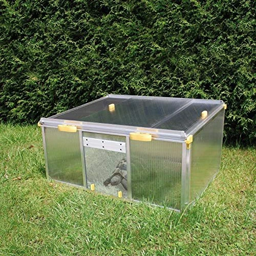 Juwel Schildkrötenhaus Paula, transparent