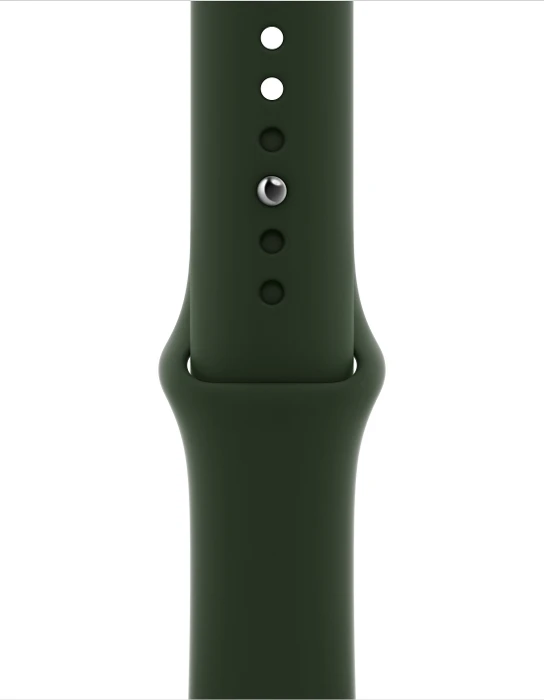 Apple Watch Series 6 (GPS + Cellular) 40mm Edelstahl gold mit Sportarmband zyperngrün