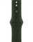Apple Watch Series 6 (GPS + Cellular) 40mm Edelstahl gold mit Sportarmband zyperngrün Vorschaubild