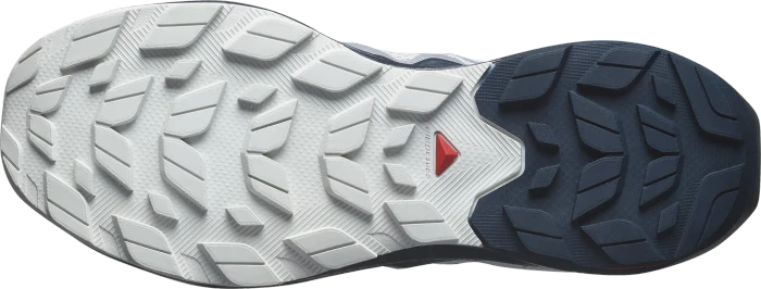 Salomon Elixir Activ glacier grey/carbon/slate green (Herren)