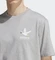 adidas Adventure Graphic Duckies T-Shirt kurzarm medium grey heather (Herren) Vorschaubild